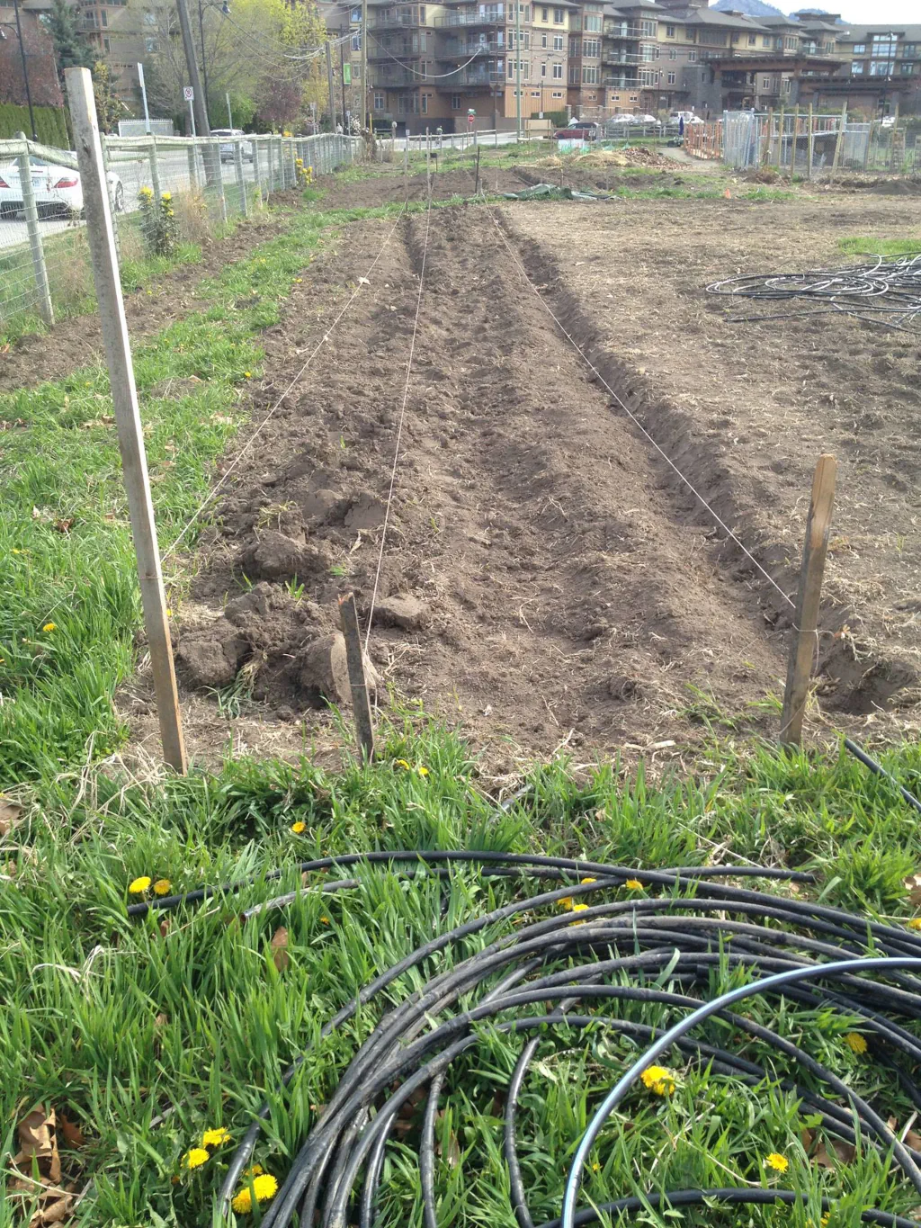 Row of a garden with no plants