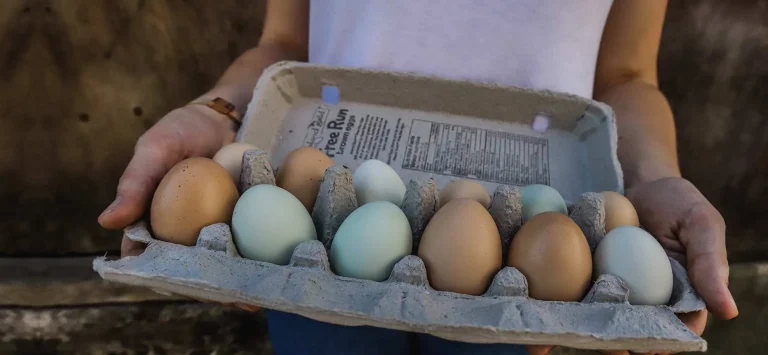 Girl holding a carton of multi-colored eggs