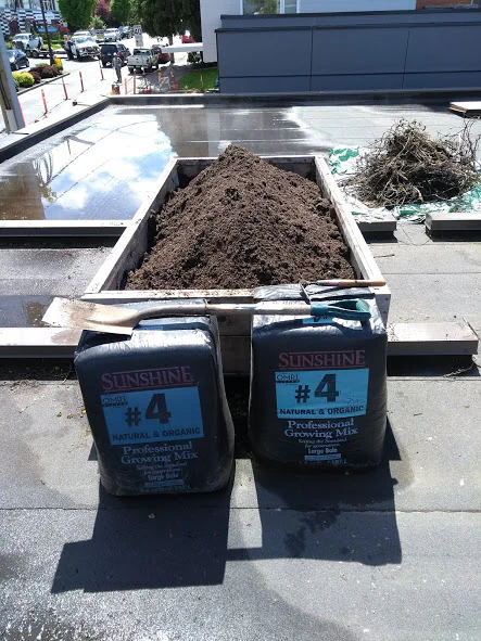 Soil being prepared for planting