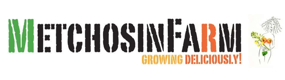 Directory Listing Logo