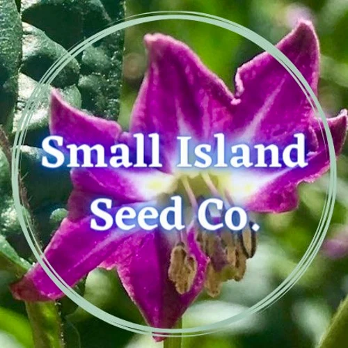 Directory Listing Logo