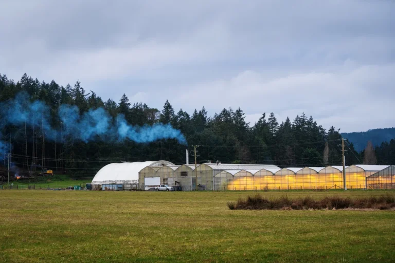 Farm greenhouse buildings